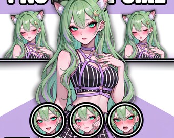 Female PNGTuber Model / Default PNGTuber Girl / VeadoTube Model / Cute PNG Tuber Model / Vtuber Model, Twitch Avatar, GIFTuber