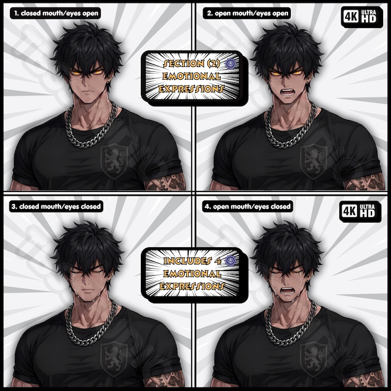 May include: A digital character sheet featuring four panels of a male figure with black hair and glowing amber eyes. The character wears a black t-shirt and a silver chain necklace. Text labels include Section (2) Emotional Expressions and Includes 4 Emotional Expressions.