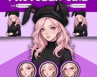 Female PNGTuber Model / Default PNGTuber Girl / VeadoTube Model / Cute PNG Tuber Model / Vtuber Model, GIFTuber