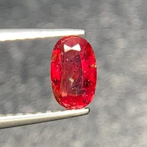 Può includere: Una gemma rosso brillante dal taglio ovale tenuta da una pinzetta in metallo color argento. La pietra presenta una superficie sfaccettata che riflette la luce, mostrando una profonda tonalità cremisi e chiarezza interna con inclusioni naturali visibili.