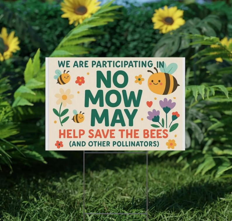 Adorable enseigne de jardin en plastique pour Interdiction de tondre en mai, décoration de conservation des abeilles, enseigne de jardin, sensibilisation aux pollinisateurs, décoration de jardin écologique image 1