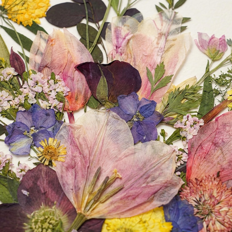 May include: A collection of pressed dried flowers featuring a variety of botanical elements including large pale pink petals, deep purple blossoms, bright yellow florets, small light pink clusters, and various green leaves arranged together.