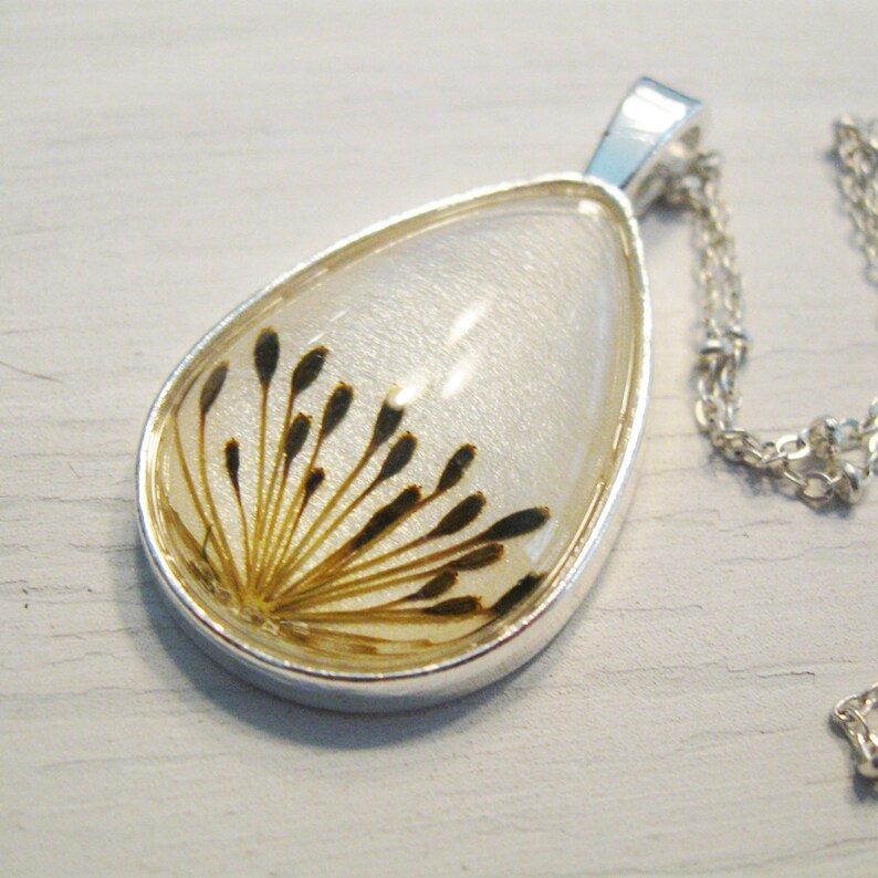 Real Seed Necklace Herbal Jewelry Dill Seeds Botanical Etsy