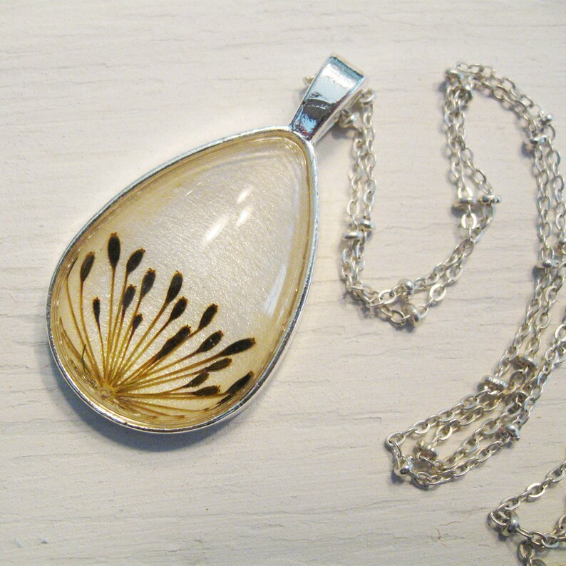 Real Seed Necklace Herbal Jewelry Dill Seeds Botanical Etsy