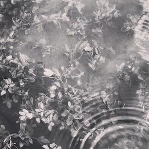8.5 x 11 - Water Art Print - Fine Art Photography - Black and White Photography