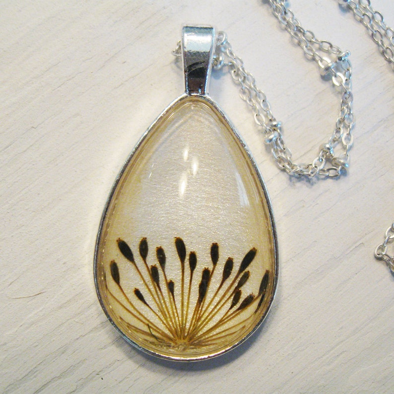 Real Seed Necklace Herbal Jewelry Dill Seeds Botanical Etsy