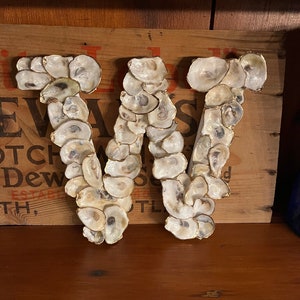 Oyster Shell Letter Decor 8”