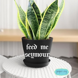 May include: A black plant pot with the text "feed me seymour" in white lettering. The pot contains a snake plant with green and yellow striped leaves. The pot sits on a white, textured table.