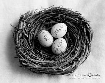 Personalized Gift Mothers, Family Nest Print, Personalised Mom Gift, Egg in Nest Print, Gift for Mom, Birthday Gift Mother, Gifts from Kids