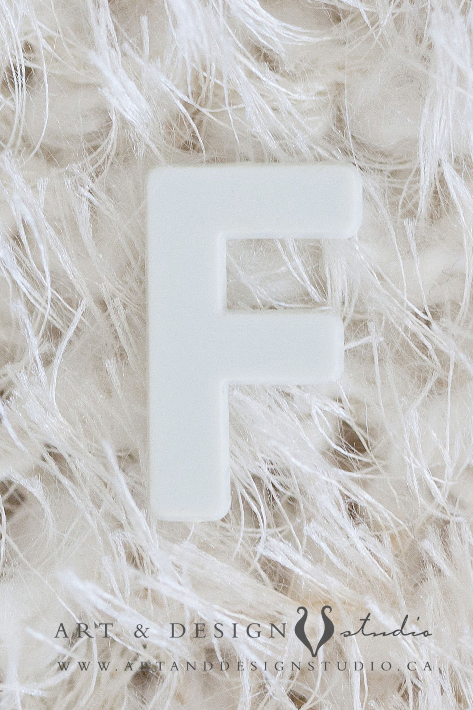 Alphabet Art Photo Letter F Alphabet Art Photograph The | Etsy
