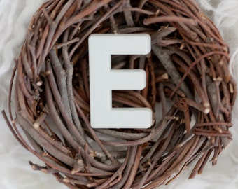 Alphabet Letter Art Photography -  Letter E Wall Decor, Letter E, Letter Art Wall Decor, Nest Print, Initial Art, Monogram Art Print