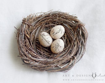 Mama Bird Nest Print, Mothers Day Personalized Gift, Wife Birthday Gift Ideas, Gift for Bonus Mom, Blended Family Housewarming Gift, Artwork