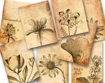 Botanische tekeningen met Collage blad, Tags, ACEO, Vintage beelden, oud papier, digitale achtergrond