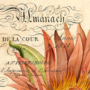 Stampabile Ephemera francese, carta digitale, illustrazione dell'annata, Parigi Decor, Download digitale