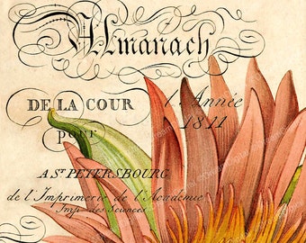 Druk francuski ephemera, cyfrowy papier, ilustracji Vintage, Paris Decor, Digital Download