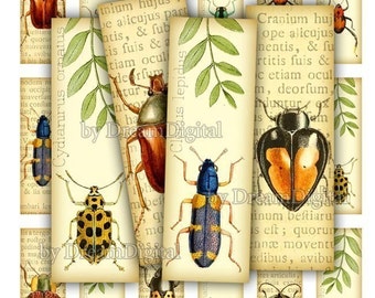Insect Digital Collage Sheet, 1 x 3 inch, Bugs, Digital Download, Printable Insects