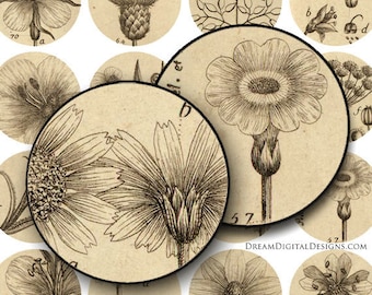 Botaniczne koła 1-calowe, cyfrowy arkusz kolażu, vintage kwiatowy, cyfrowy botaniczny