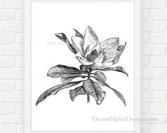 Printable Botanical Art, Floral Print, Magnolia Instant Download, Printable Wall Art