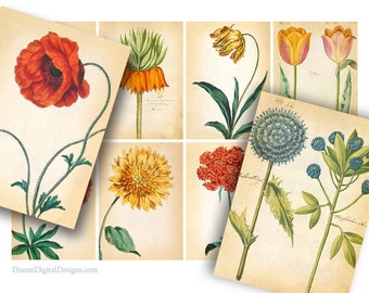 Botanische Illustrationen druckbare Geschenkanhänger, Vintage Floral Collage Blatt, druckbare Bilder, digitale Hintergrund, sofort-Download