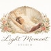 LightMomentStudio