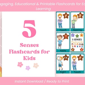 Cartes-éclair des 5 sens pour enfants | Cartes éducatives imprimables | Apprenez le toucher, le goût, l'odorat, la vue, l'ouïe | Ressources Montessori et préscolaires