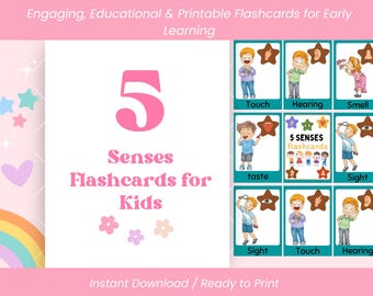 Do druku karty edukacyjne dla dzieci dotyczące 5 zmysłów – dotyk, smak, węch, wzrok i słuch, Montessori Preschool w formacie PDF do pobrania