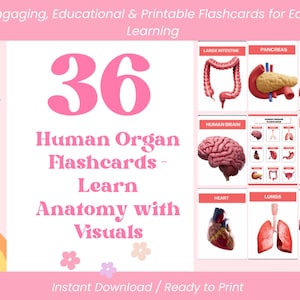 36 Human Organs Flashcards for Kids | Printable Anatomy Learning Cards | Biology Educational PDF for Homeschool & Classroom