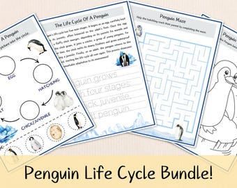 Penguin Life Cycle Worksheets – Cut and Paste Winter Science Activities for Kids