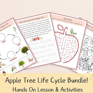 May include: A bundle of four educational worksheets with an apple theme. The worksheets include a life cycle diagram, a maze, a coloring page, and a page with writing prompts. The title "Apple Tree Life Cycle Bundle!" is displayed at the bottom.