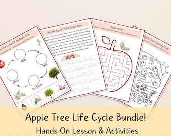 Apple Tree Life Cycle Worksheets – Cut and Paste Science Activities – Elementary Learning Packet
