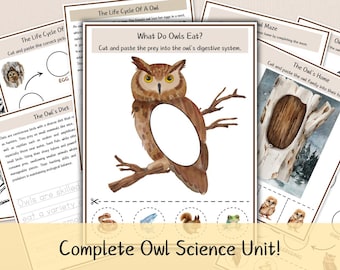 Owl Science Worksheets Bundle: Life Cycle, Habitat & Diet Activities