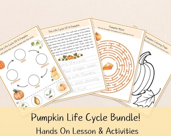 Pumpkin Life Cycle Worksheets – Interactive Science Activities for Elementary