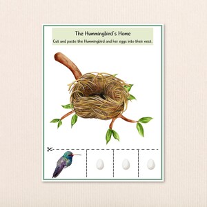 May include: A watercolor illustration titled "The Hummingbird's Home." It features a detailed bird's nest on a branch, a hummingbird, and three eggs. The text reads, "Cut and paste the Hummingbird and her eggs into their nest."