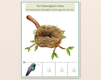 Hummingbird Nest Cut and Paste Craft, Preschool Science Activity (Digital Download)