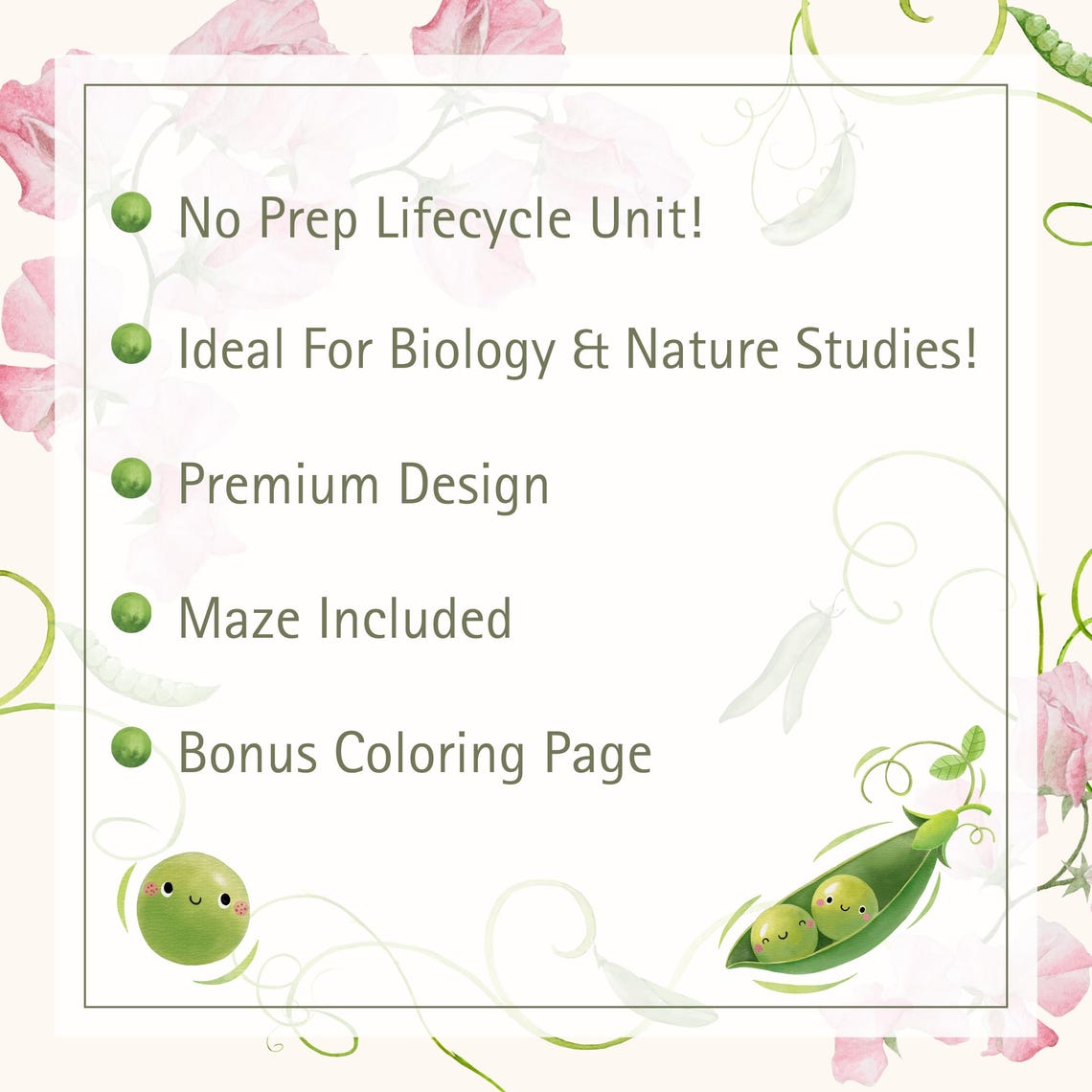 Ladybug Life Cycle Worksheet: Cut & Paste Science Activity (printable ...