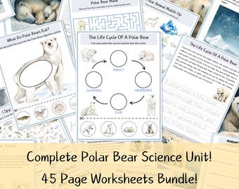 Polar Bear Science Unit - Arctic Animals Worksheets Activities - Literacy Pack - Printable Worksheets