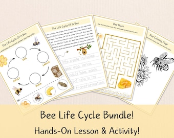 Bee Life Cycle Worksheet: Montessori Cut & Paste Activity (Printable)