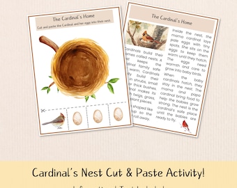 Cardinal Nest Cut and Paste Activity, Bird Habitat Science Lesson (Digital Download)