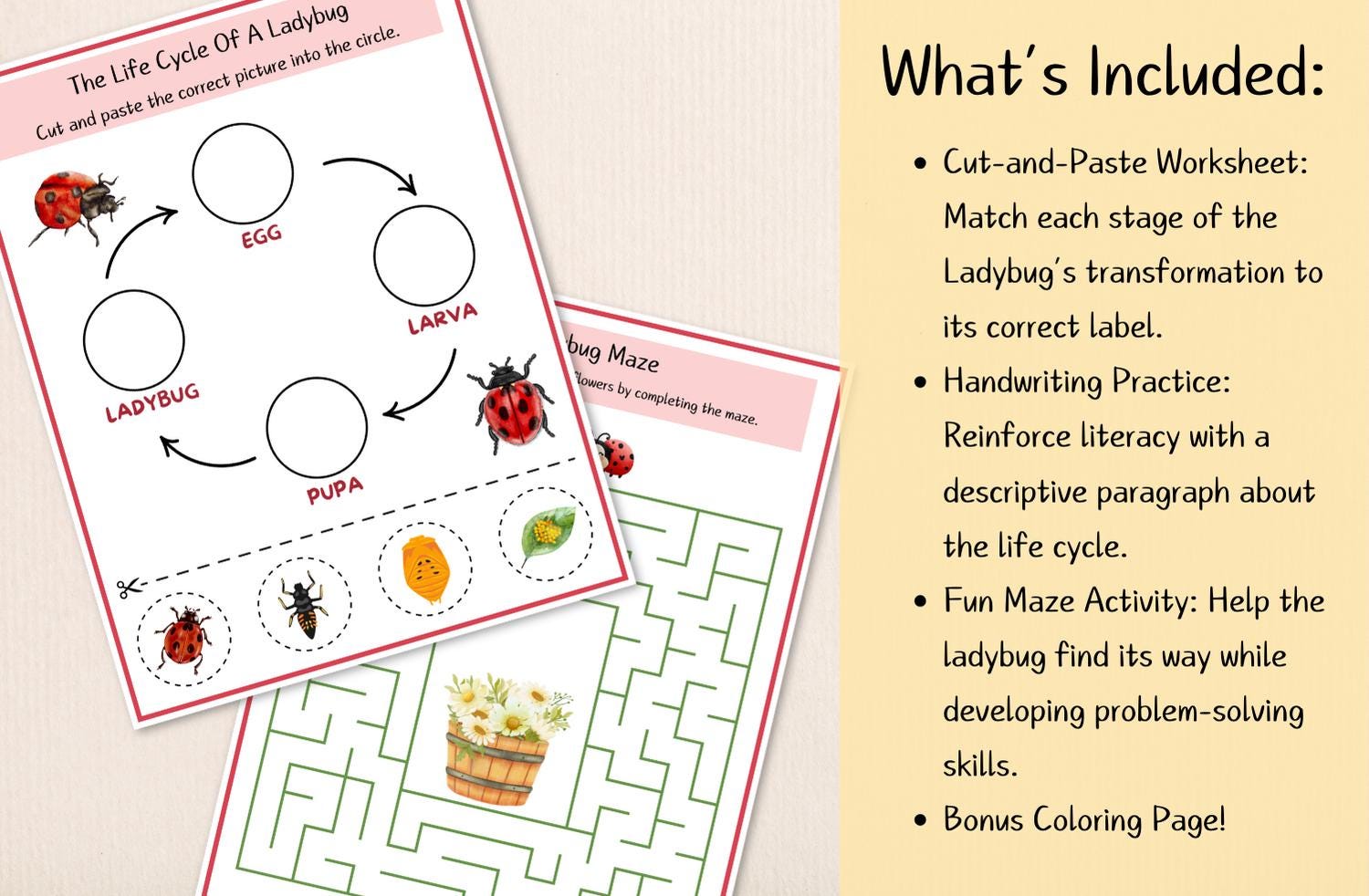 Ladybug Life Cycle Worksheet: Cut & Paste Science Activity (printable ...