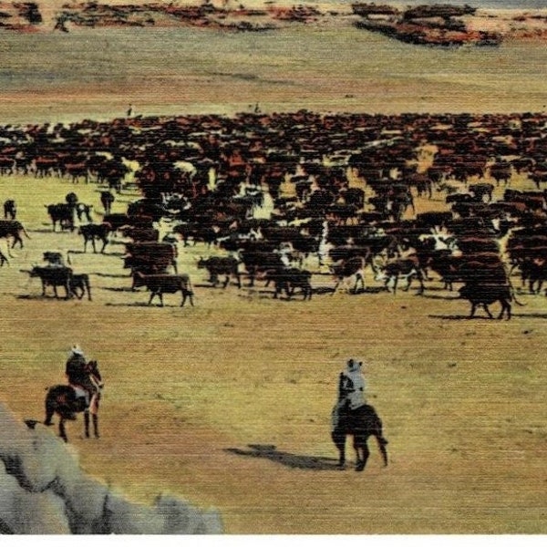 1949 Cowboy Roundup Range Western Prairies Rockies Vintage Postcard GetLuckyVintage