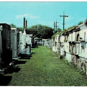 1955 Old St Louis Cemetery New Orleans Louisiana Vintage Chrome Postcard Get Lucky Vintage Ephemera Memorabilia Deltiology