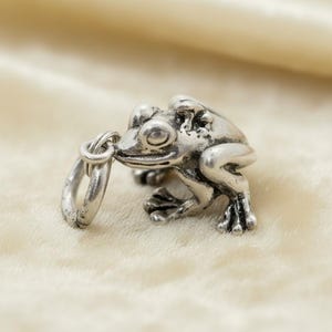 Sterling Silver Marsupial Frog & Froglet Charm for Bracelet or Pendant, Get Lucky Vintage