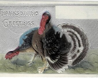 1916 Tom & Hen Turkeys With Silver Gilding Thanksgiving Postcard