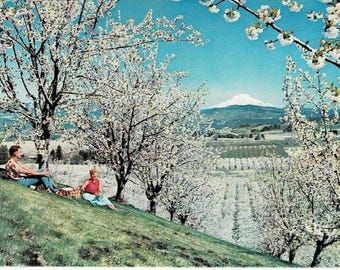 1950 Hood River Valley Oregon Postcard, Union Pacific Railroad, Ray Atkeson Photography