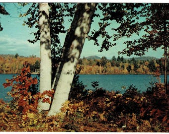 1950s Brookfield Massachusetts Postcard, Lake Lashaway