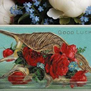 May include: Vintage postcard with a teal background and the words "Good Luck". The card features a detailed illustration of a seashell, red roses, and small blue flowers. The postcard is surrounded by a bouquet of white and red flowers.