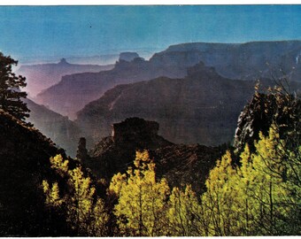 1950s Grand Canyon Arizona Vintage Postcard, Get Lucky Vintage