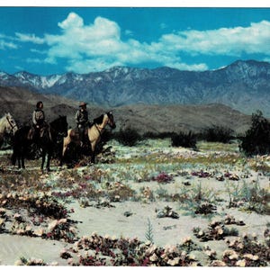 May include: Vintage postcard featuring three people on horseback in a desert landscape. The riders are wearing hats and riding horses of different colors. Mountains and a blue sky with clouds are in the background. The foreground has desert plants.