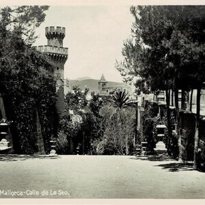 May include: Black and white vintage postcard featuring a view of Palma de Mallorca, Spain. The image shows a stone tower, lush trees, and a glimpse of a distant building. The text at the bottom reads "Palma de Mallorca-Calle de La Seo."