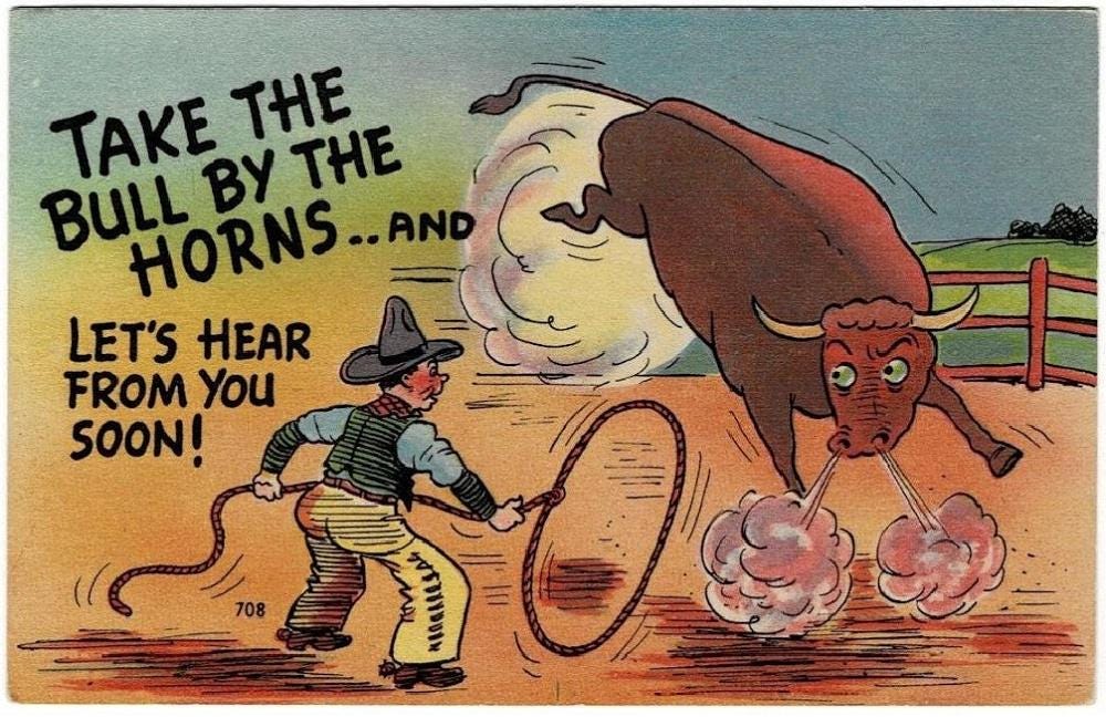 First Rodeo Comic 1940 Rodeo Cowboy Takes Bull by the Horns Vintage Comic Postcard Get ...